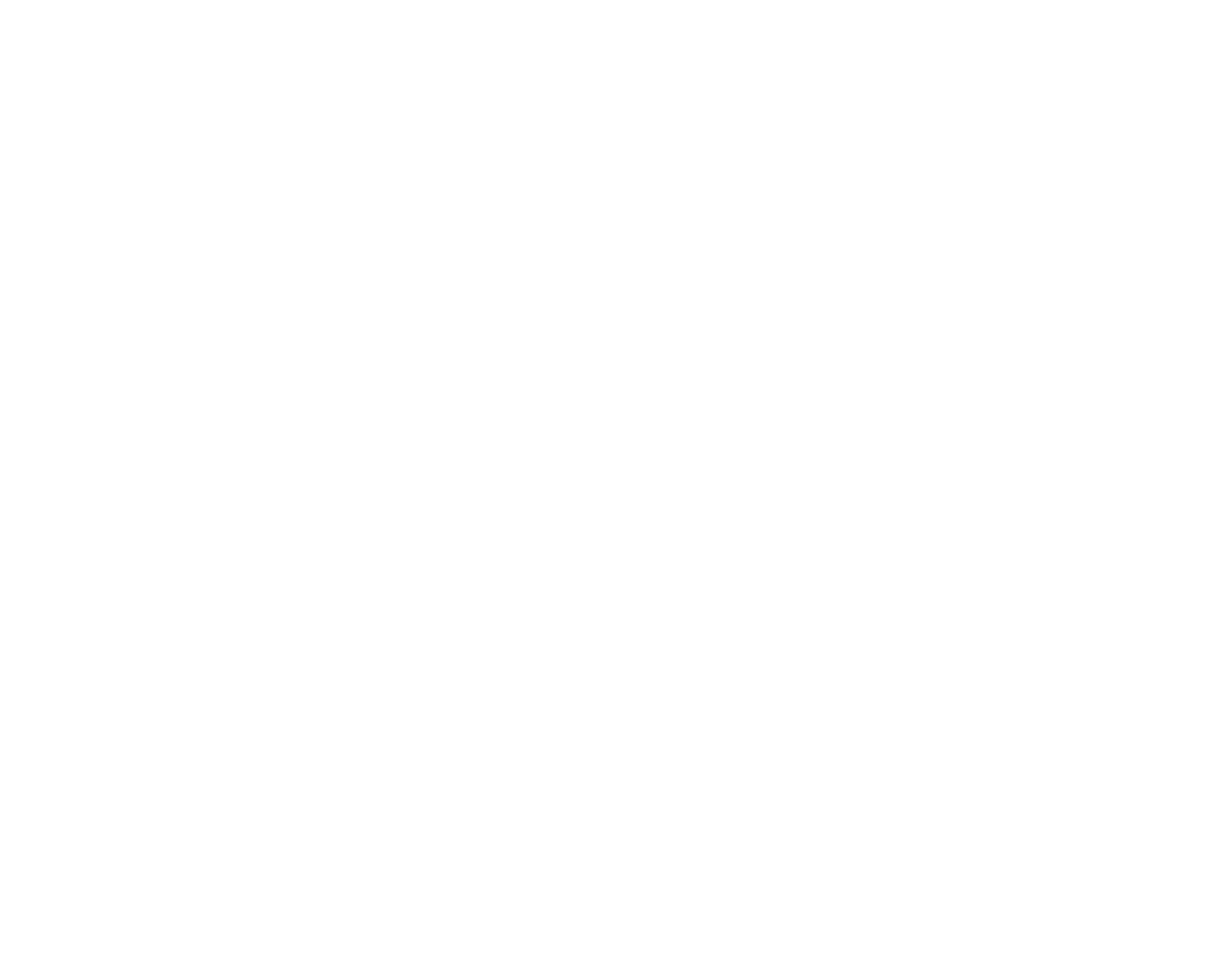 nemesis_logo